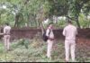 चुंगी गांव में घुसा जंगली हाथी, आधे घंटे तक मचाया आतंक; फसलें तबाह….