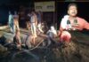 बलियापुर-झरिया मुख्य मार्ग पर बिजली मरम्मत में जुटे कर्मी, ग्रामीणों ने राज्य सरकार को ठहराया जिम्मेदार…