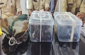 जामताड़ा में फर्जी पुलिसकर्मी गिरफ्तार, देशी पिस्तौल, कारतूस और पुलिस वर्दी बरामद 1 जामताड़ा में फर्जी पुलिसकर्मी गिरफ्तार, देशी पिस्तौल, कारतूस और पुलिस वर्दी बरामद