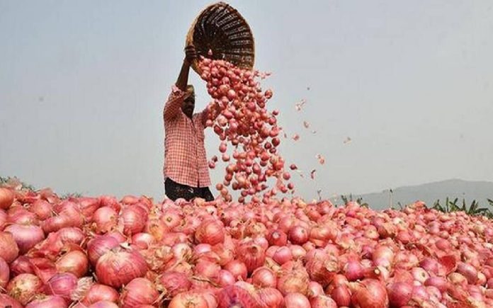 Onion Crisis: प्याज MSP बढ़ाने के बावजूद धीमी खरीद पर सरकार की चिंता, किसान क्यों नहीं बेच रहे प्याज?