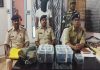 जामताड़ा में फर्जी पुलिसकर्मी गिरफ्तार, देशी पिस्तौल, कारतूस और पुलिस वर्दी बरामद जामताड़ा में फर्जी पुलिसकर्मी गिरफ्तार, देशी पिस्तौल, कारतूस और पुलिस वर्दी बरामद
