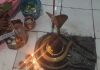 सावन के पहले सोमवार पर निरसा के शिवालयों में उमड़ी श्रद्धालुओं की भीड़, हर-हर महादेव के जयकारों से गूंजा क्षेत्र सावन के पहले सोमवार पर निरसा के शिवालयों में उमड़ी श्रद्धालुओं की भीड़, हर-हर महादेव के जयकारों से गूंजा क्षेत्र