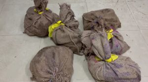 Dhanbad News: गोमो-धनबाद के बीच दून एक्सप्रेस ट्रेन में RPF की बड़ी कार्रवाई, लावारिस थैलों से निकले 120 कछुए