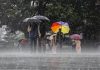 Bihar Rain Alert: बिहार के कई जिलों में भारी बारिश का अलर्ट, IMD ने जारी किया येलो और ऑरेंज अलर्ट Bihar Rain Alert: बिहार के कई जिलों में भारी बारिश का अलर्ट, IMD ने जारी किया येलो और ऑरेंज अलर्ट