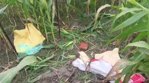 Saran Murder Case: सारण में मासूम की हत्या से मचा हड़कंप, पुराने भूमि विवाद से जुड़ रही कड़ी