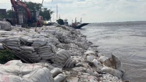 Raghopur Embankment Erosion: राघोपुर तटबंध पर मंडरा रहा खतरा, विक्रमशिला सेतु को लेकर उठे गंभीर सवाल 1 Raghopur Embankment Erosion: राघोपुर तटबंध पर मंडरा रहा खतरा, विक्रमशिला सेतु को लेकर उठे गंभीर सवाल