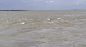 Raghopur Embankment Erosion: राघोपुर तटबंध पर मंडरा रहा खतरा, विक्रमशिला सेतु को लेकर उठे गंभीर सवाल 3 Raghopur Embankment Erosion: राघोपुर तटबंध पर मंडरा रहा खतरा, विक्रमशिला सेतु को लेकर उठे गंभीर सवाल