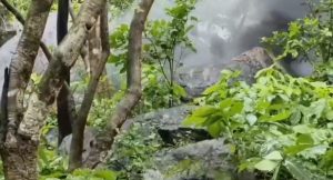 Aurangabad IED Bomb: औरंगाबाद के पचरुखिया जंगल में मिला 2.5 किलो का IED, सुरक्षाबलों ने किया नष्ट