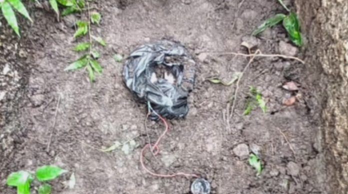 Aurangabad IED Bomb: औरंगाबाद के पचरुखिया जंगल में मिला 2.5 किलो का IED, सुरक्षाबलों ने किया नष्ट