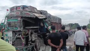 Jamua Arwatand Road Accident: जमुआ के अरवाटांड़ में भीषण सड़क हादसा, ढिबरा लदे पिकअप और ट्रक में जोरदार टक्कर 2 Jamua Arwatand Road Accident 1