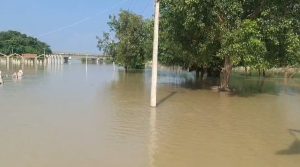 Gopalganj Flood: नेपाल की मूसलाधार बारिश से गंडक उफान पर, गोपालगंज के कई प्रखंड बाढ़ की चपेट में 2 Gopalganj Flood: नेपाल की मूसलाधार बारिश से गंडक उफान पर, गोपालगंज के कई प्रखंड बाढ़ की चपेट में