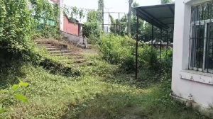 Nirsa Health Centre Reopen: निरसा में बंद अस्पताल को चालू कराने की मांग, NCP ने दी रांची तक आंदोलन की चेतावनी