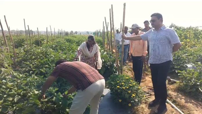 Dhanbad Agriculture Director Visit 1