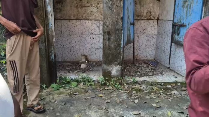 Dhanbad Govindpur School Protest: धनबाद के स्कूल में गंदगी और एमडीएम की परेशानी, फूड प्रोसेसिंग यूनिट के प्रस्ताव का विरोध