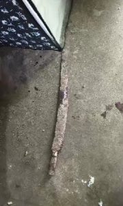 Nirsa Lakhimata Colony Theft 1