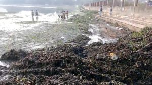 Pampu Talab Cleaning: धनबाद के पम्पू तालाब का राज सिन्हा ने किया निरीक्षण, जेसीबी-ट्रैक्टर बढ़ाने का आग्रह 1 Pampu Talab Cleaning: धनबाद के पम्पू तालाब का राज सिन्हा ने किया निरीक्षण, जेसीबी-ट्रैक्टर बढ़ाने का आग्रह