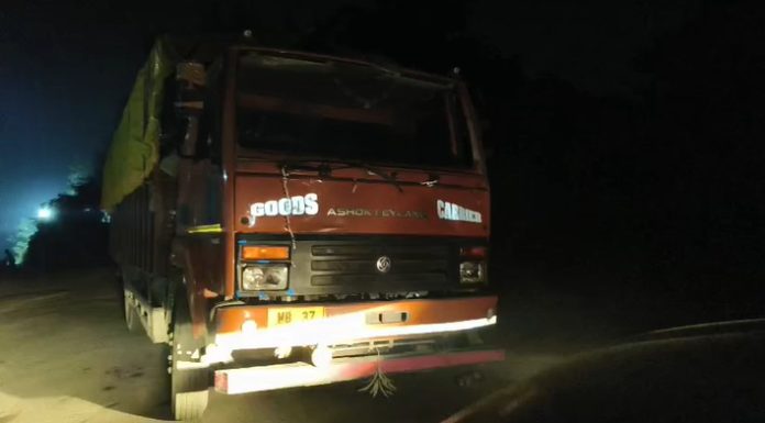 Nirsa Truck Accident: निरसा में बेकाबू ट्रक ने मचाई तबाही, कई मवेशी-वाहन चपेट में; फटका ब्रिज पर मचा बवाल