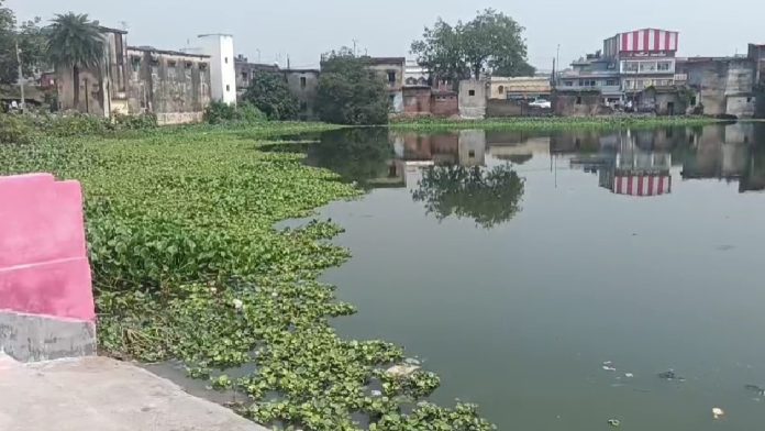 निरसा में विधायक अरूप चटर्जी ने किया स्नान घाट का उद्घाटन 2
