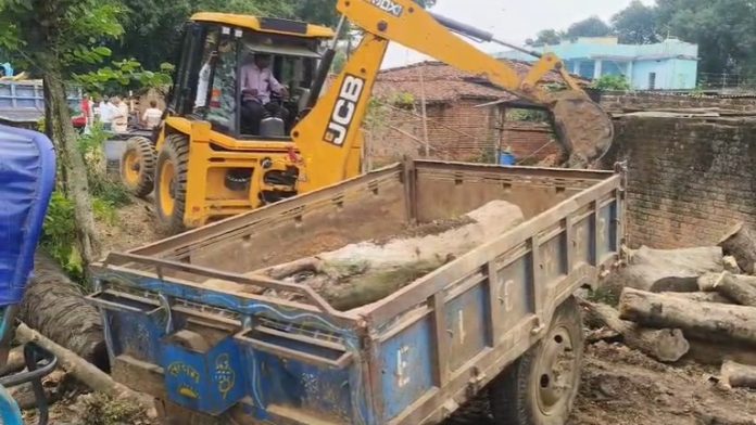 Herodih Illegal Sawmill Raid: गिरिडीह में वन विभाग का बड़ा एक्शन, अवैध आरा मिल से लकड़ी और उपकरण जब्त